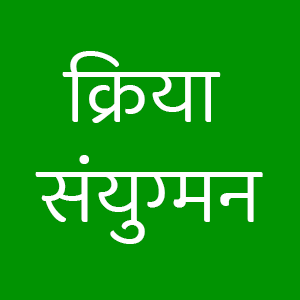 Спряжение глаголов хинди